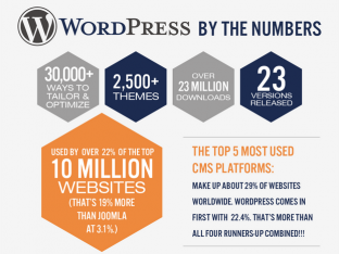 Wordpress statistics