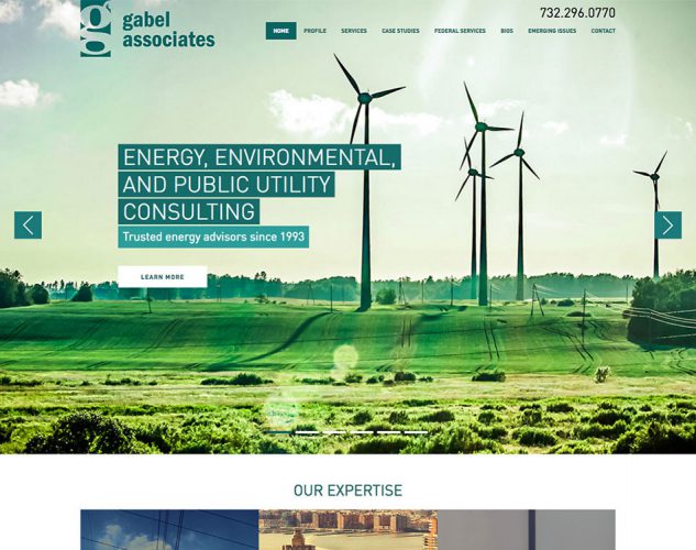 energy consultant website
