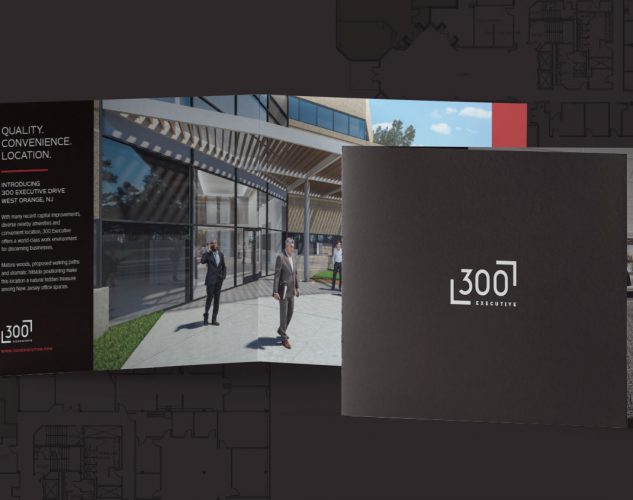 300 executive drive print brochure design.
