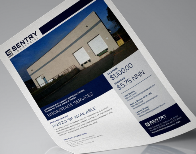 sentry commercial property flyer.