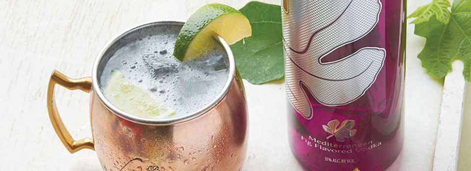 CS Energy - Branding & Design | Splendor Design in Red Bank, NJ