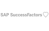 success factors website developer