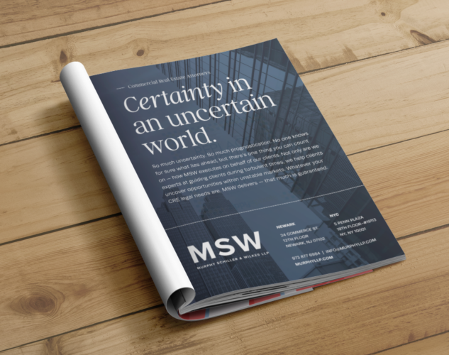 MSW legal law print marketing