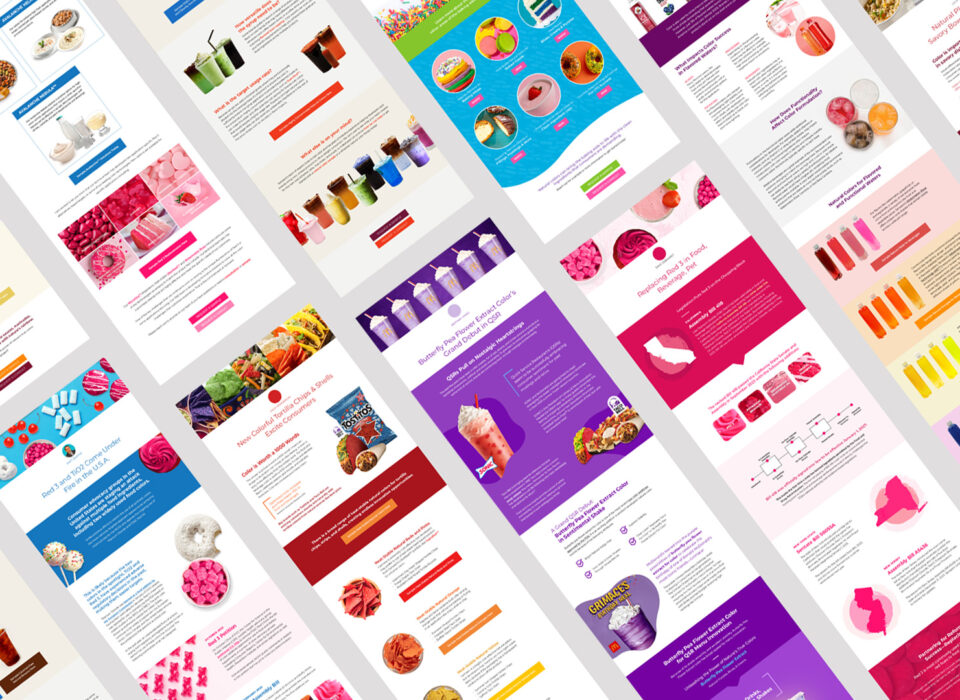 Global Food Colors Blogs