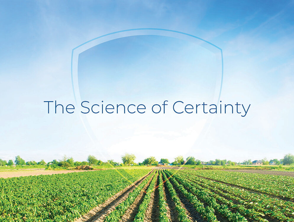 Our Design Process: 7 Key Steps - Splendor Design Group