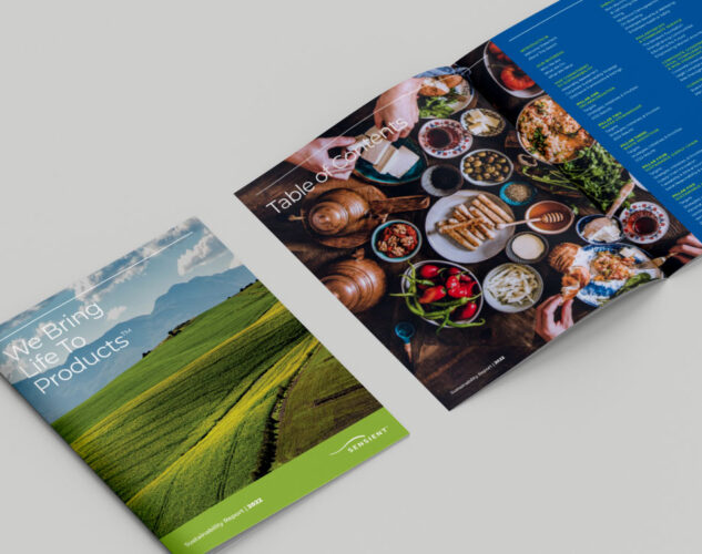 annual report design