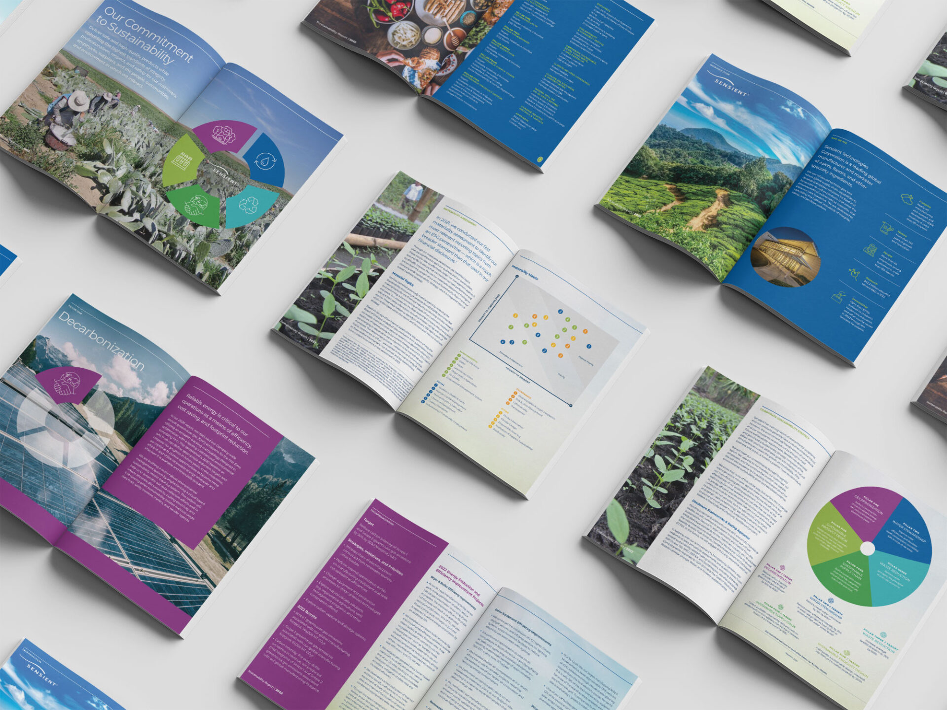 Global Food Colors Print Collateral