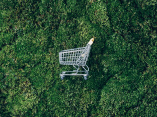 a shopping cart laying on a grass field