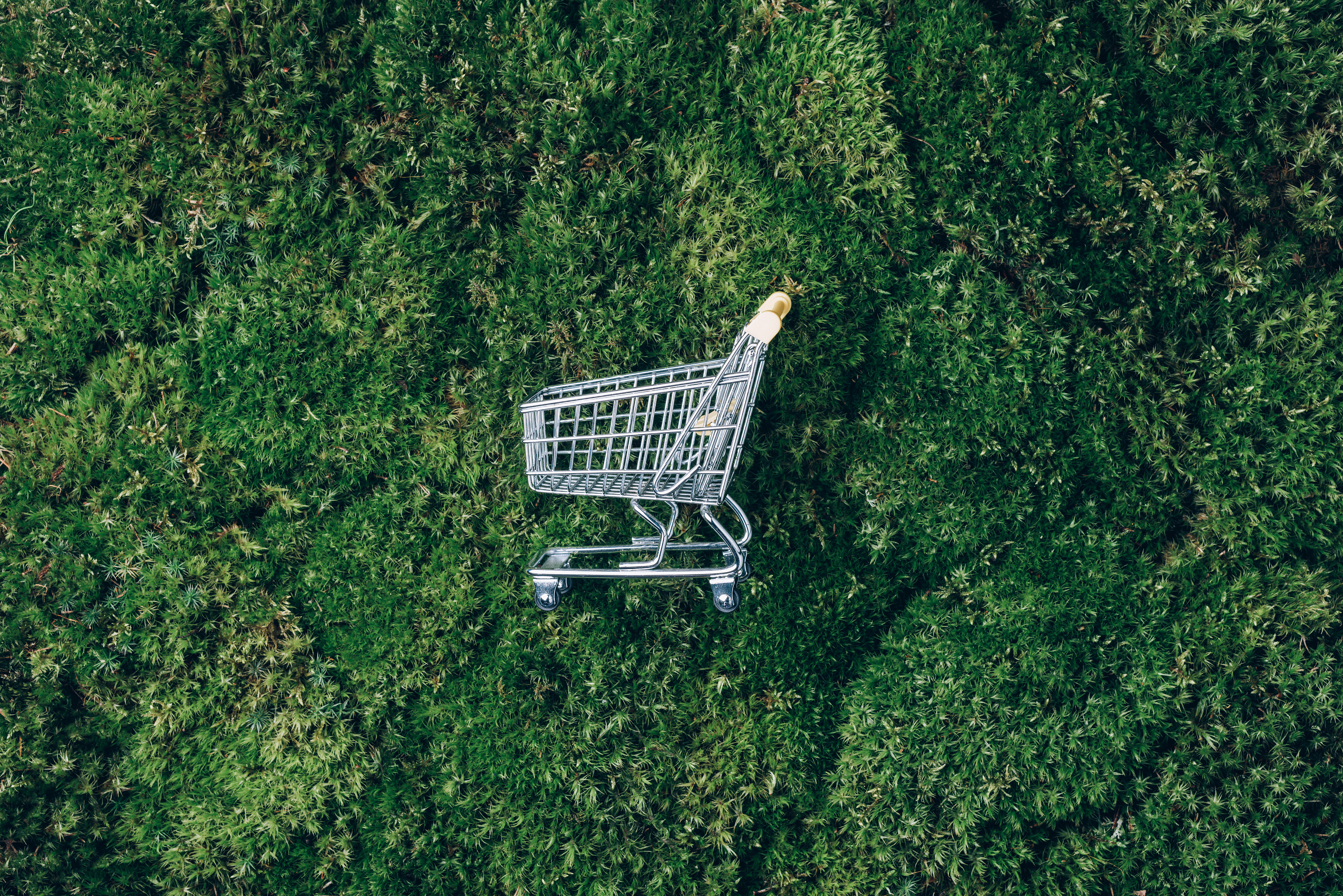 a shopping cart laying on a grass field