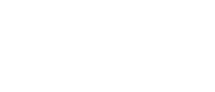 bluechip logo branding