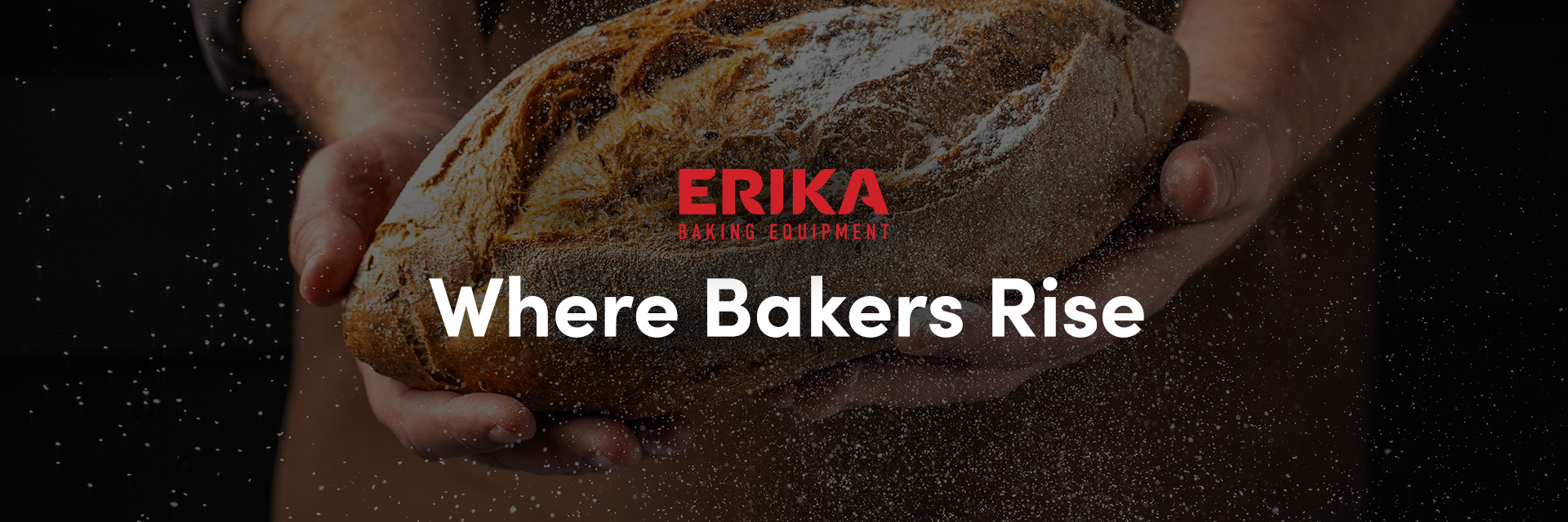 erika brand position