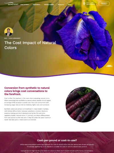 Sensient Food Color Blog Design