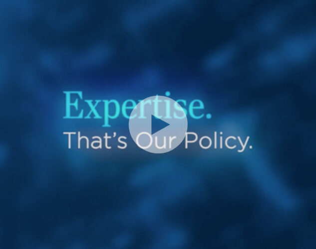 Bluechip Brand Position Thumbnail