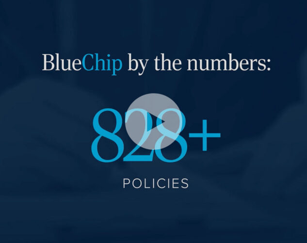 Bluechip Video Thumbnail